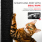 Black Gothic Cat Tower for Indoor Cats, Multi-Level Spooky Cat Tree with Scratching Posts, Perches, Hammock & Cave, Halloween Decor